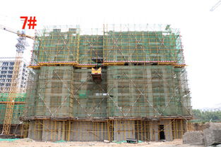 隆基泰和紫金府精品住宅最新施工進度一覽